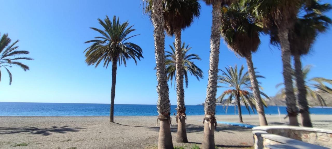 Appartement Al-andalus Tropical *