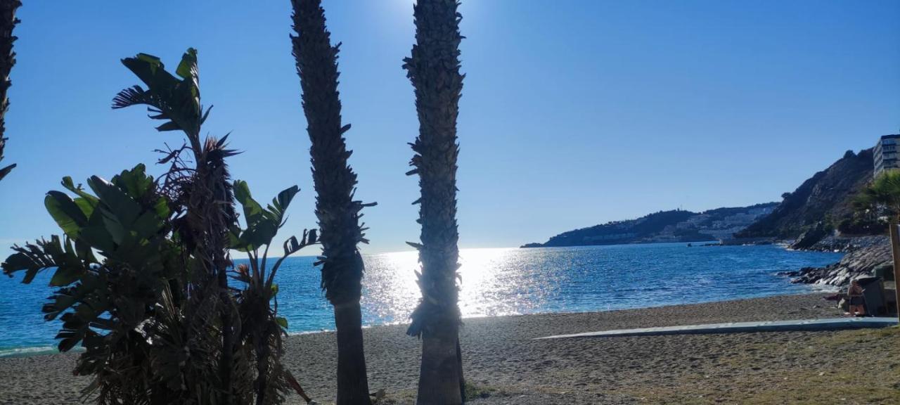 Al-andalus Tropical * Almuñécar